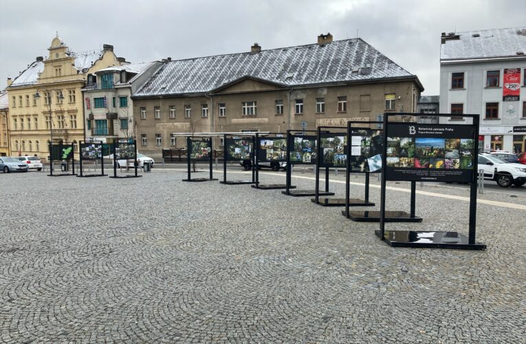 V Příbrami se v dubnu představí Kořeny osobností – unikátní projekt Botanické zahrady Praha