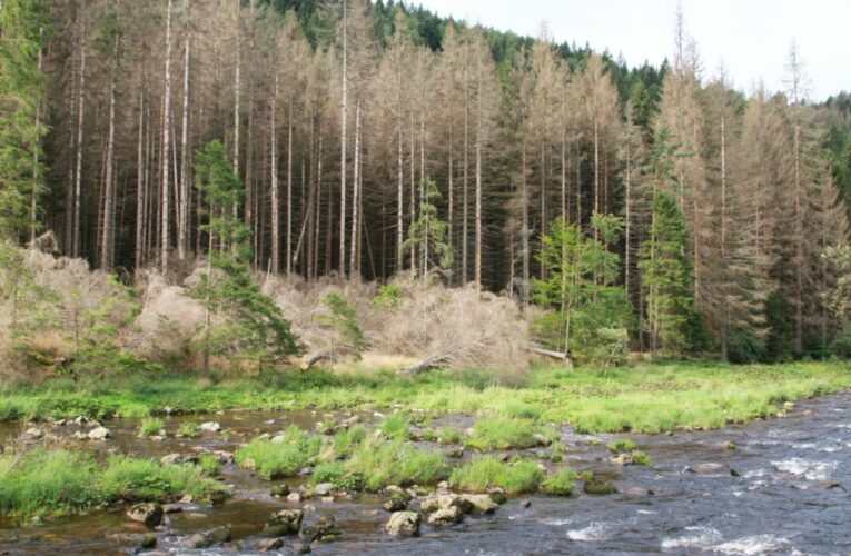 Zemědělský výzkum Ministerstvo zaměří na ochranu půdy, digitalizaci zemědělství a boj s kůrovcem. Dá na to více než čtvrt miliardy korun