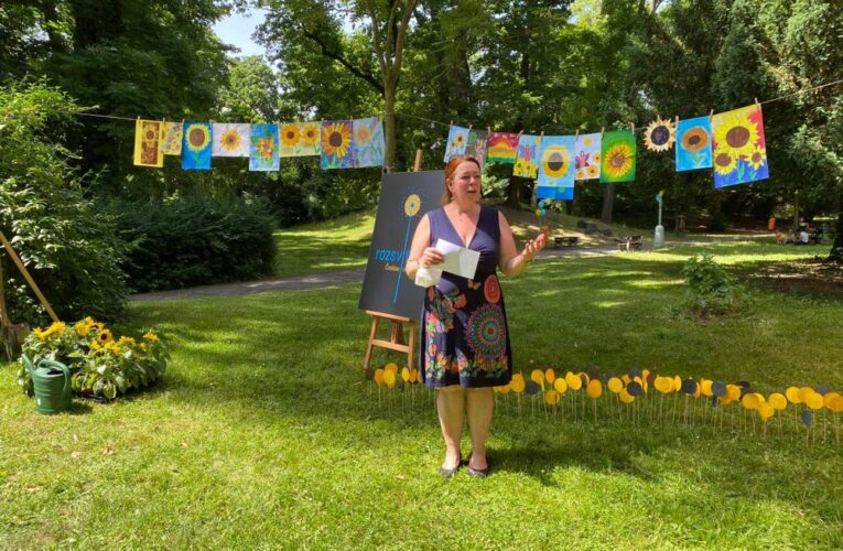 Slunečnice rozsvítí Kateřinskou zahradu