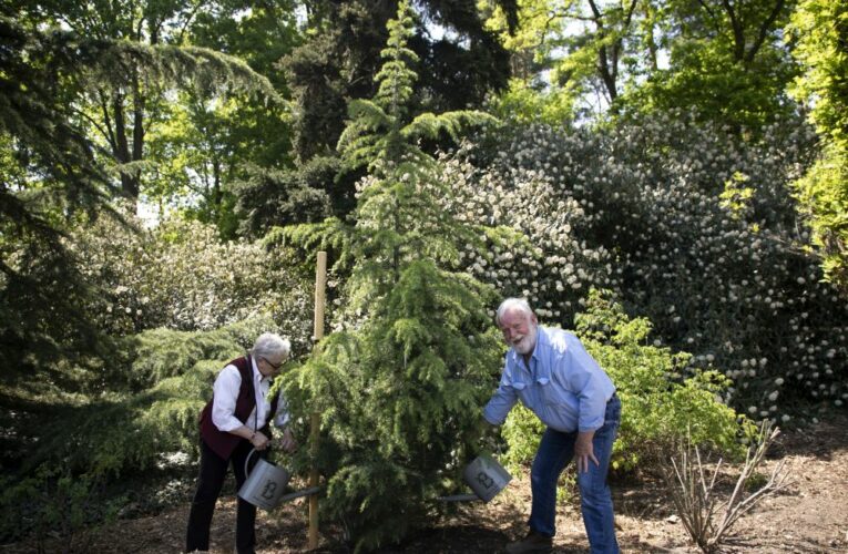 Třikrát obeplul svět a nyní zasadil strom v botanické zahradě v Praze-Troji. Projekt Kořeny osobností obohatil český mořeplavec Richard Konkolski
