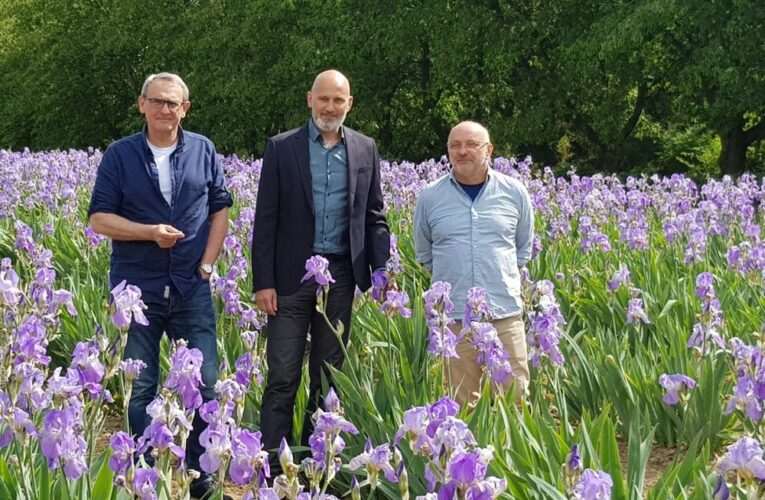 Zapomenuté české byliny opět ožívají díky moderní vědě