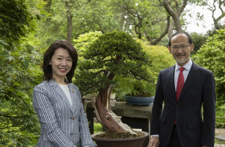 Nejkrásnější, nejstarší i největší bonsaje uvidíte v trojské botanické zahradě