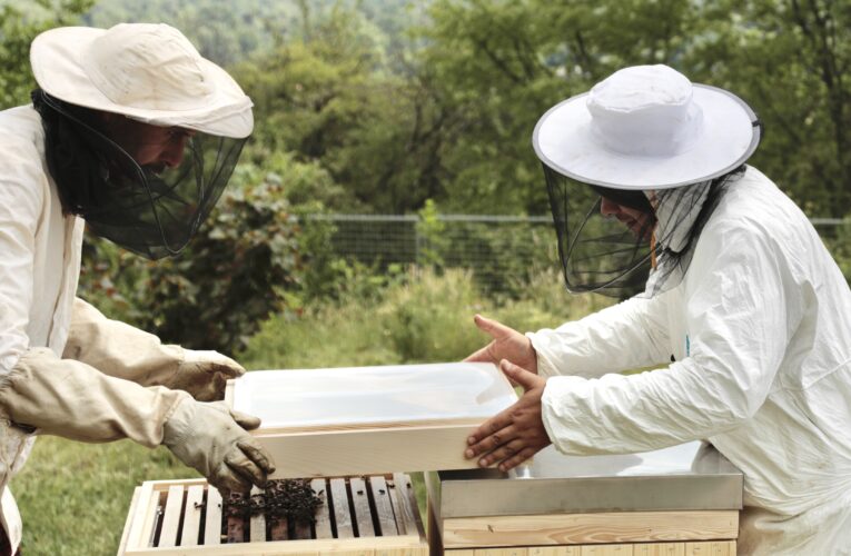 Trojská botanická zahrada obnovuje a posiluje včelstvo