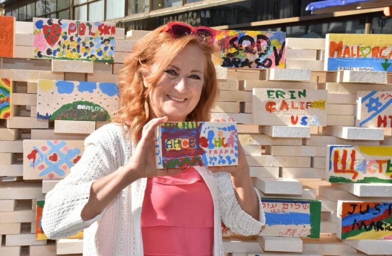 DLOUHOLETÁ PATRONKA SBÍRKY AKCE CIHLA SIMONA STAŠOVÁ PRODÁVÁ CIHLY A PODPORUJE SBÍRKU NA PŘÍKOPECH