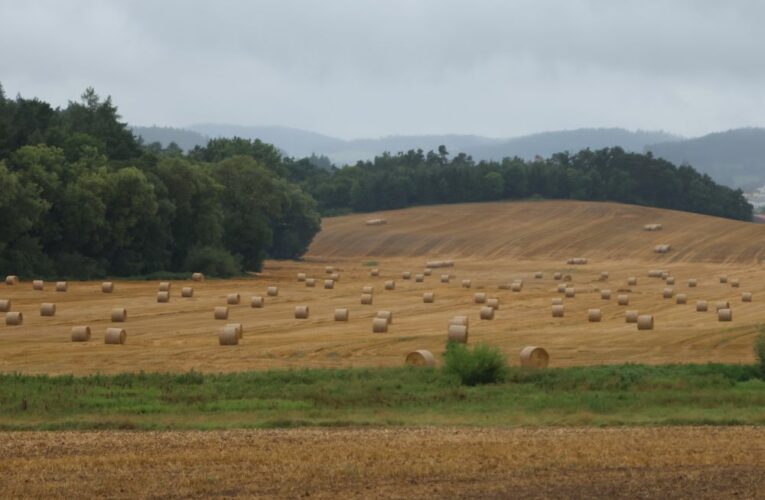  Výzkum pomůže tomu, aby se zemědělství v příštích letechještě více zelenalo a inovovalo