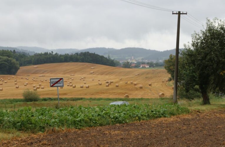 Zpráva o stavu zemědělství ČR 2021: Produkce zemědělského odvětví byla nejvyšší za posledních pět let a dosáhla 152,8 miliard korun