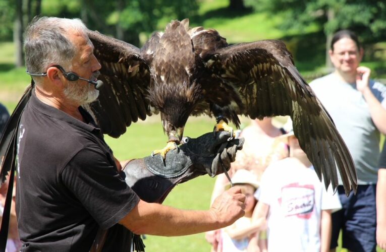 Tlustá Berta na Markétské pouti v Horní Plané