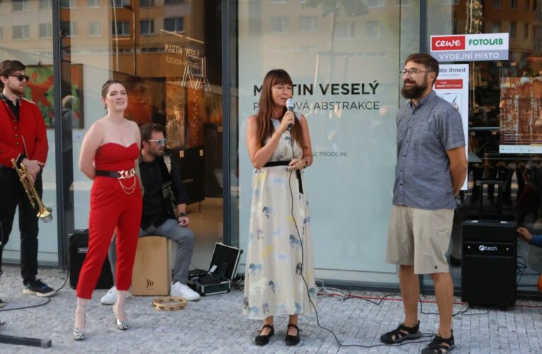 Plechová abstrakce Martina Veselého přivádí diváka k představivosti