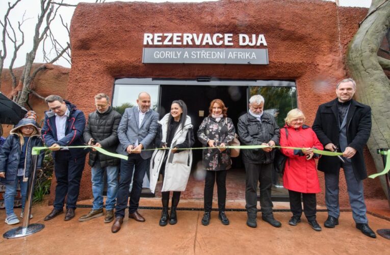 Zoo Praha slavnostně otevřela nový pavilon goril – Rezervaci Dja