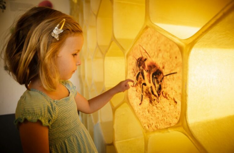 Výlety s dětmi, když prší