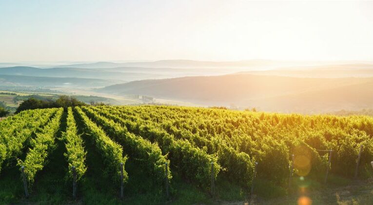 Ázerbajdžánská centrála cestovního ruchu uspořádala v Praze roadshow, zaměřenou na české cestovatele