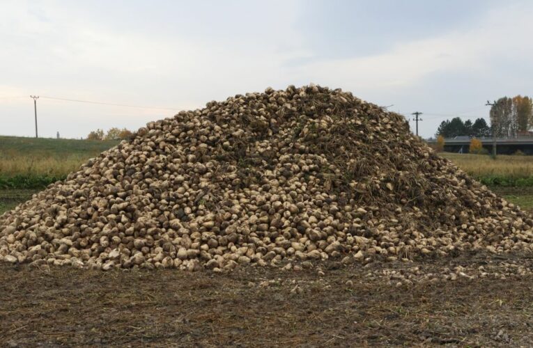 Ministr zemědělství Zdeněk Nekula schválil sazby hlavních zemědělských dotací, přímých plateb, pro rok 2022