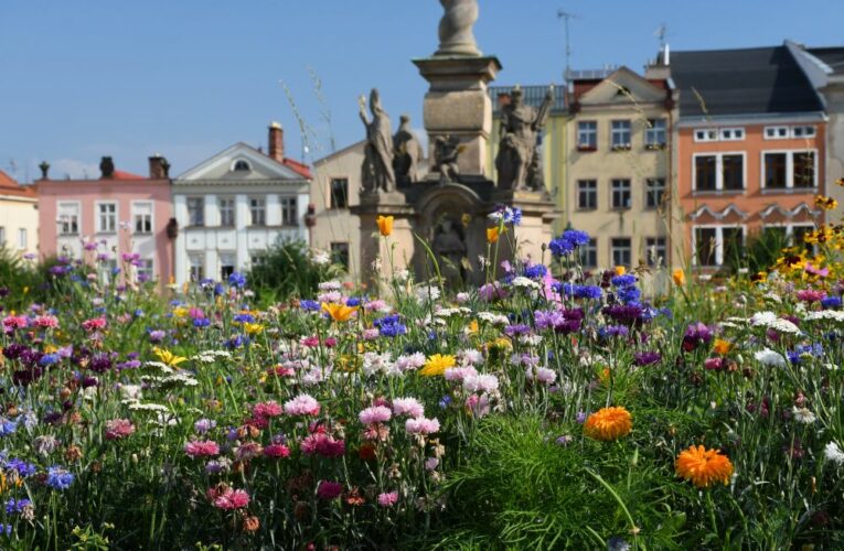 Broumov si jde pro titul Evropské hlavní město kultury 2028.