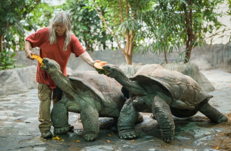 Podzimní prázdniny v Zoo Praha