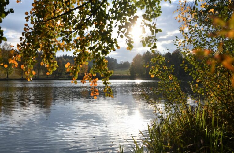 Výstavní sál poličského muzea „zatopí“ RYBNÍK!