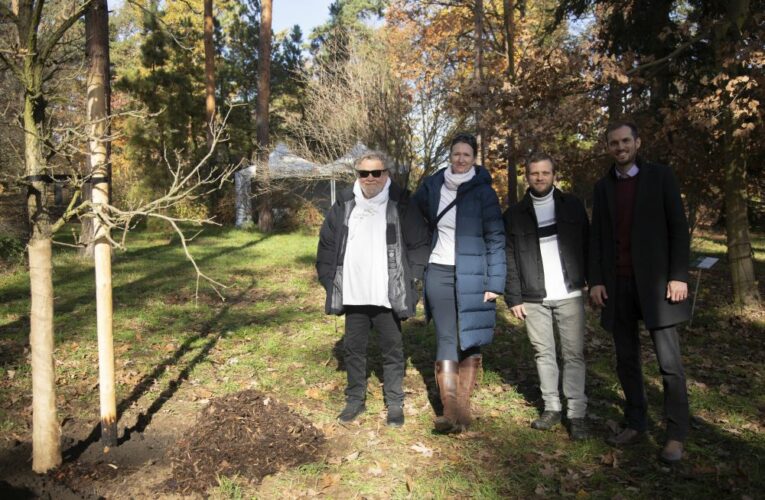 Muž, který fotil Davida Bowieho. Fotograf Antonín Kratochvíl je dalším významným účastníkem projektu botanické zahrady Kořeny osobností