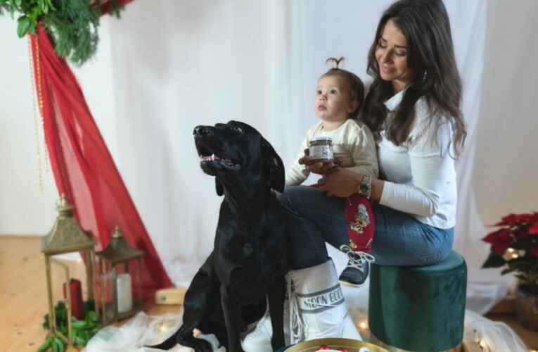 Speciální vánoční menu pro domácí mazlíčky v podobě