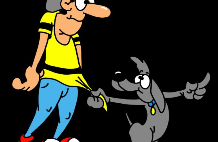 Pes jako příjemný společník pro mě i okolí