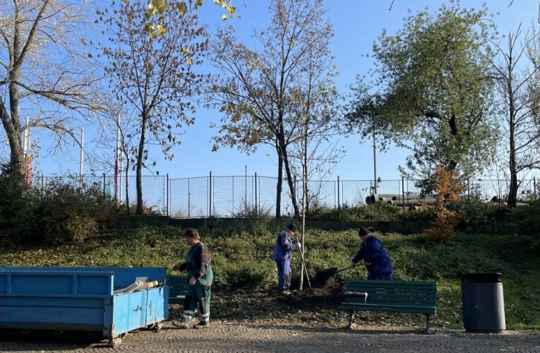 Parky v Praze 2 budou opět zelenější, radnice tam vysadí dalších 23 nových stromů