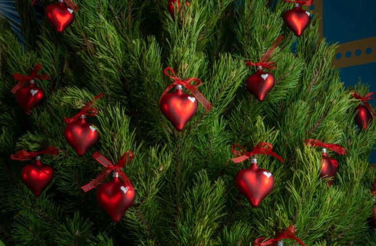 Srdce v srdci – sklárna Koulier a zámek Loučeň se připojují k Nadaci Dagmar a Václava Havlových VIZE 97