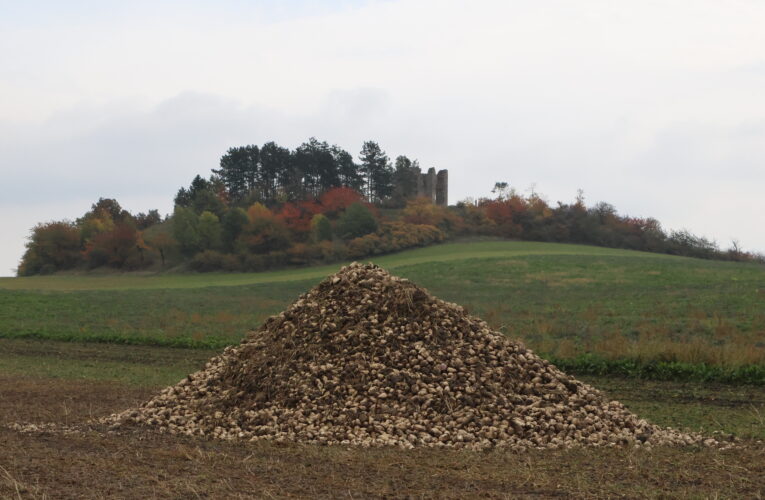 Ministr zemědělství Nekula chce, aby řetězce vysvětlily, proč prodávají cukr tak draze. Vysoké obchodní přirážky jsou podle ministra nemorální