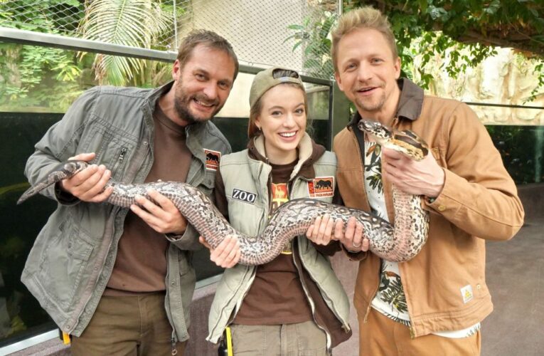 Jarní sezóna seriálu ZOO