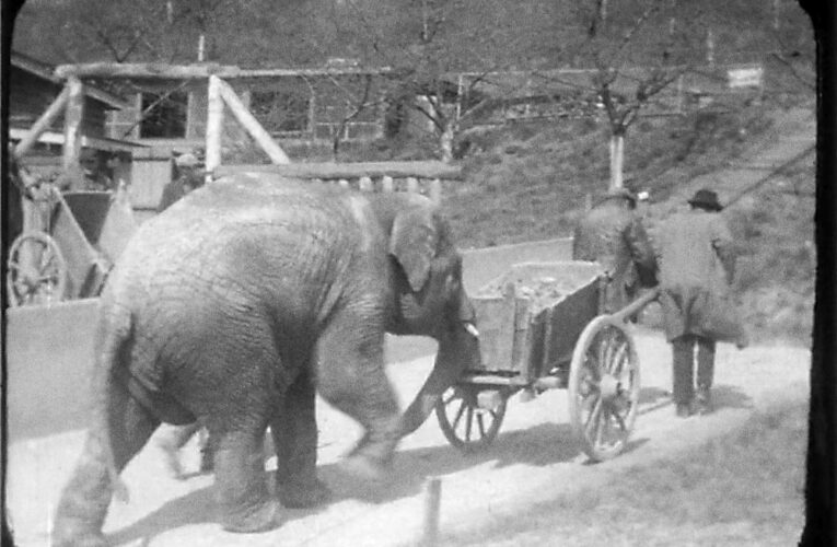 Tisková konference: Říše prof. Jandy na unikátních filmech