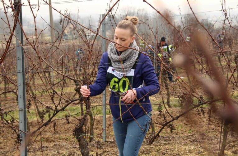 MISTREM MEZI ŘEZAČI RÉVY JE PEDAGOG Z RAJHRADU JAN SCHOŘ