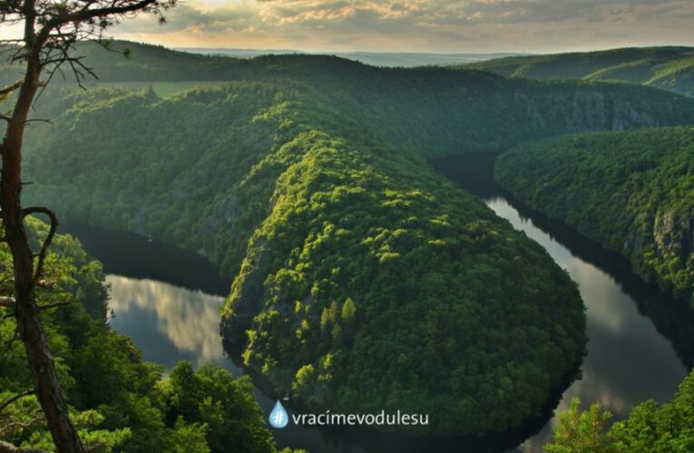 Na změnu klimatu připravují Lesy ČR krajinu