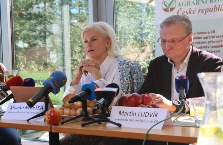 Letos z české krajiny zmizí 10 procent ovocných sadů a 5 procent ploch se zeleninou