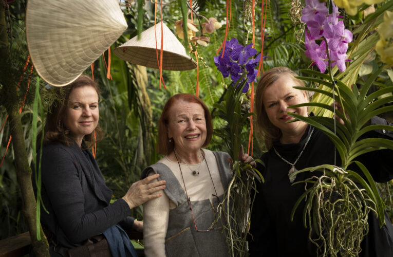 Ve skleníku Fata Morgana v Troji kvetou orchideje, poklady vietnamské džungle
