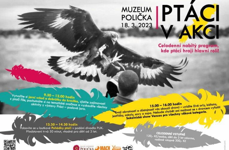 PTÁCI V AKCI!