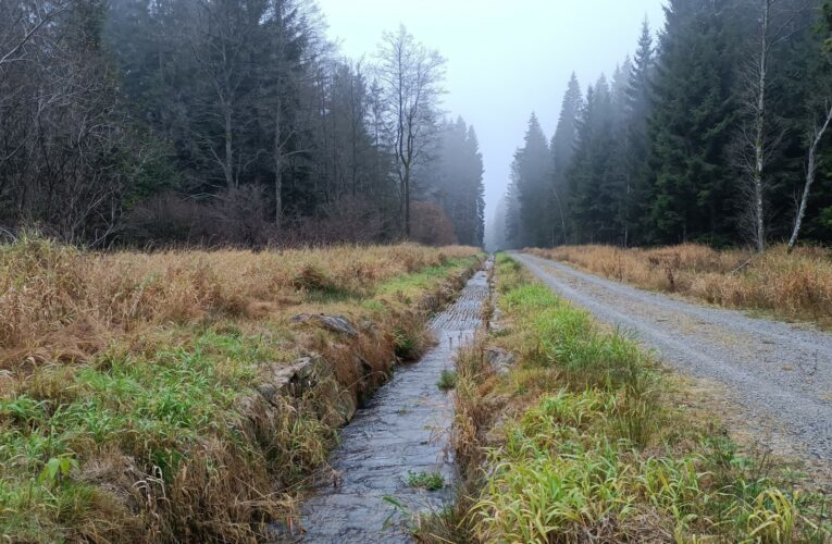 Čtyři úseky Schwarzenberského plavebního kanálu obnovily Lesy České republiky