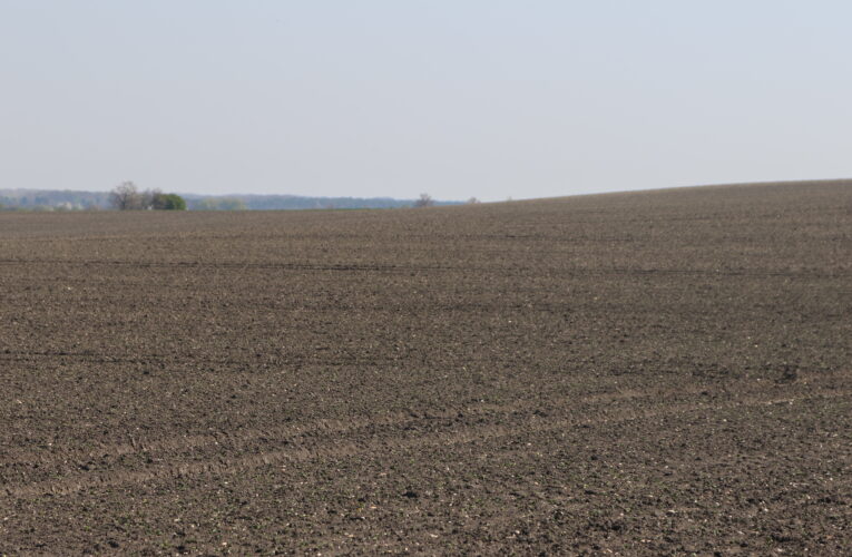 Ministr Nekula: Je třeba zvážit využití zemědělské rezervy i pro státy, které jsou nepřímo zasažené zvýšeným vývozem z Ukrajiny
