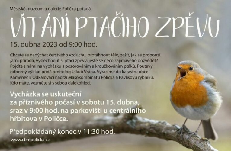 JARO PATŘÍ PTÁKŮM!