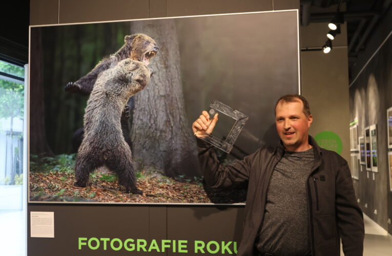Boj medvědů se stal fotografií roku sedmého ročníku Czech Nature Photo
