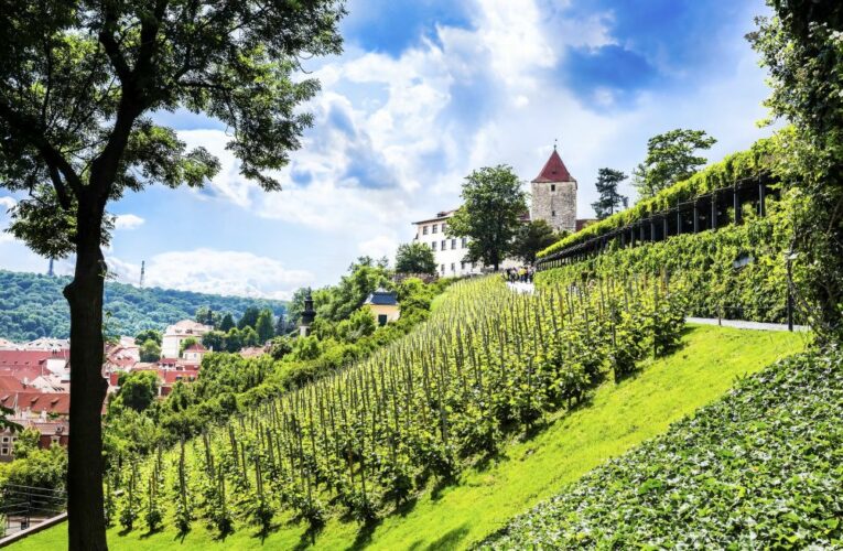 Další ročník Putování pražskými vinicemi přiblíží vinařskou tradici v Praze
