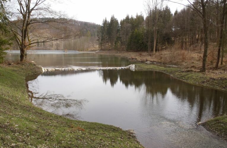 Nová lesní nádrž na Bruntálsku zadržuje v krajině vodu