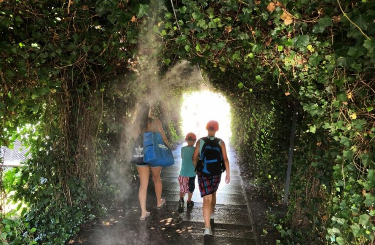 Žluté lázně čeká pestrá sezóna navzdory stavbě Dvoreckého mostu