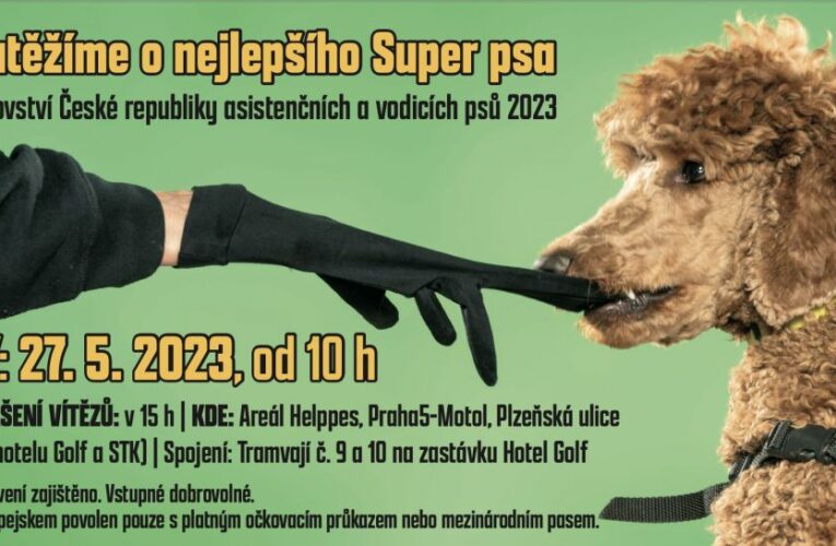 Helppes – Držitelé asistenčních a vodících psů se utkají o titul Mistra České republiky
