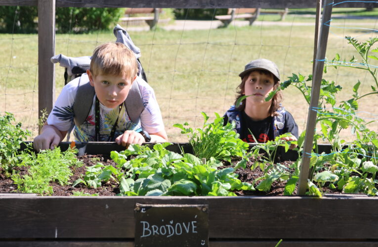 Když se chce, tak to funguje