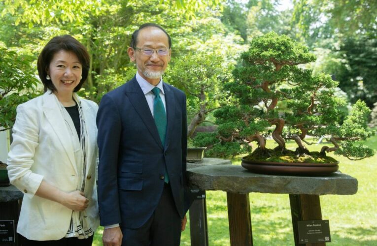 Přehlídka bonsají a japonské kultury láká do Troji