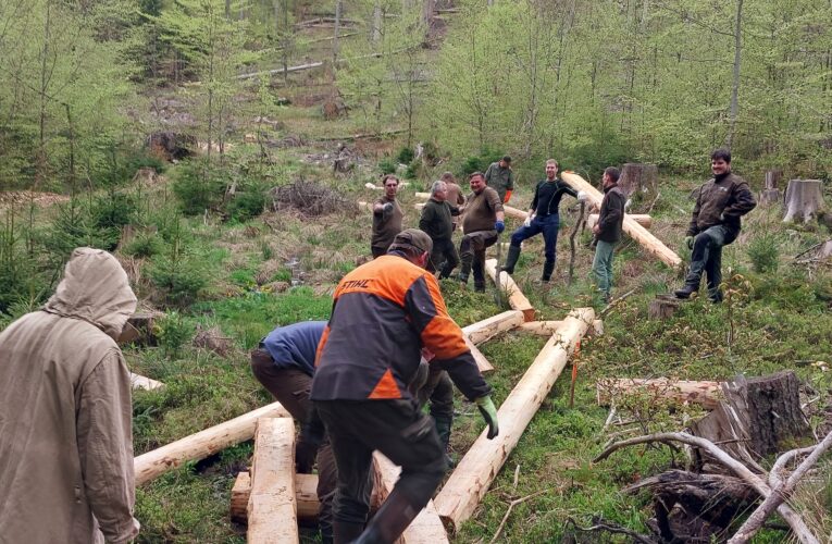 Lesy ČR budují pro turisty novou cestu do Boubínského pralesa