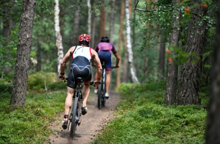 Dovolená je v jižních Čechách ve znamení novinek. Která zaujme právě vás?