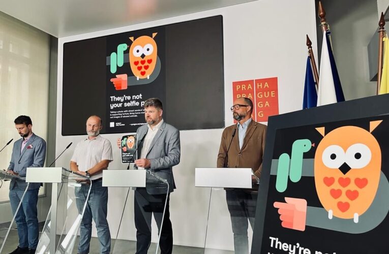 Praha tlumí negativní projevy cestovního ruchu, zaměřuje se i na ochranu zvířat