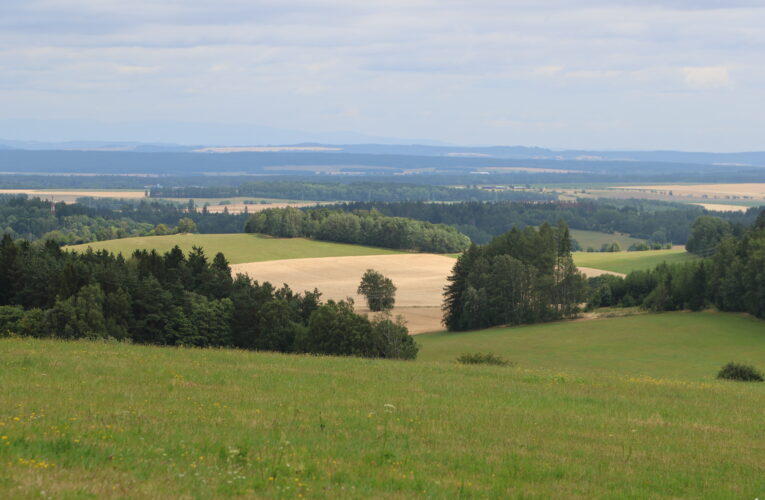 Největší lesnickou akci pro veřejnost chystají Lesy ČR v září