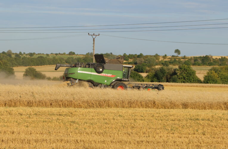 Naši zemědělci loňský rok zvládli výborně, zemědělství se dařilo