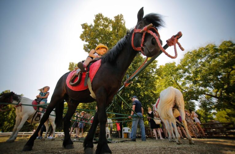 Jízda napříč maďarským dědictvím