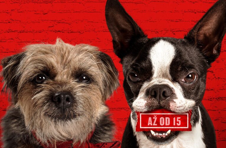 Vocasy na tripu (Strays)  Premiéra: 17. 8. 2023