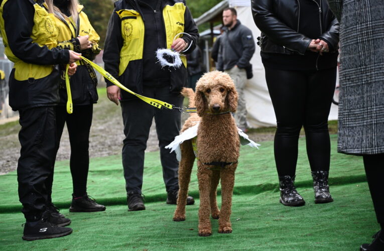 SUPER DEN 2023 – SLAVNOSTNÍ PROMOCE PSÍCH SUPERHRDINŮ